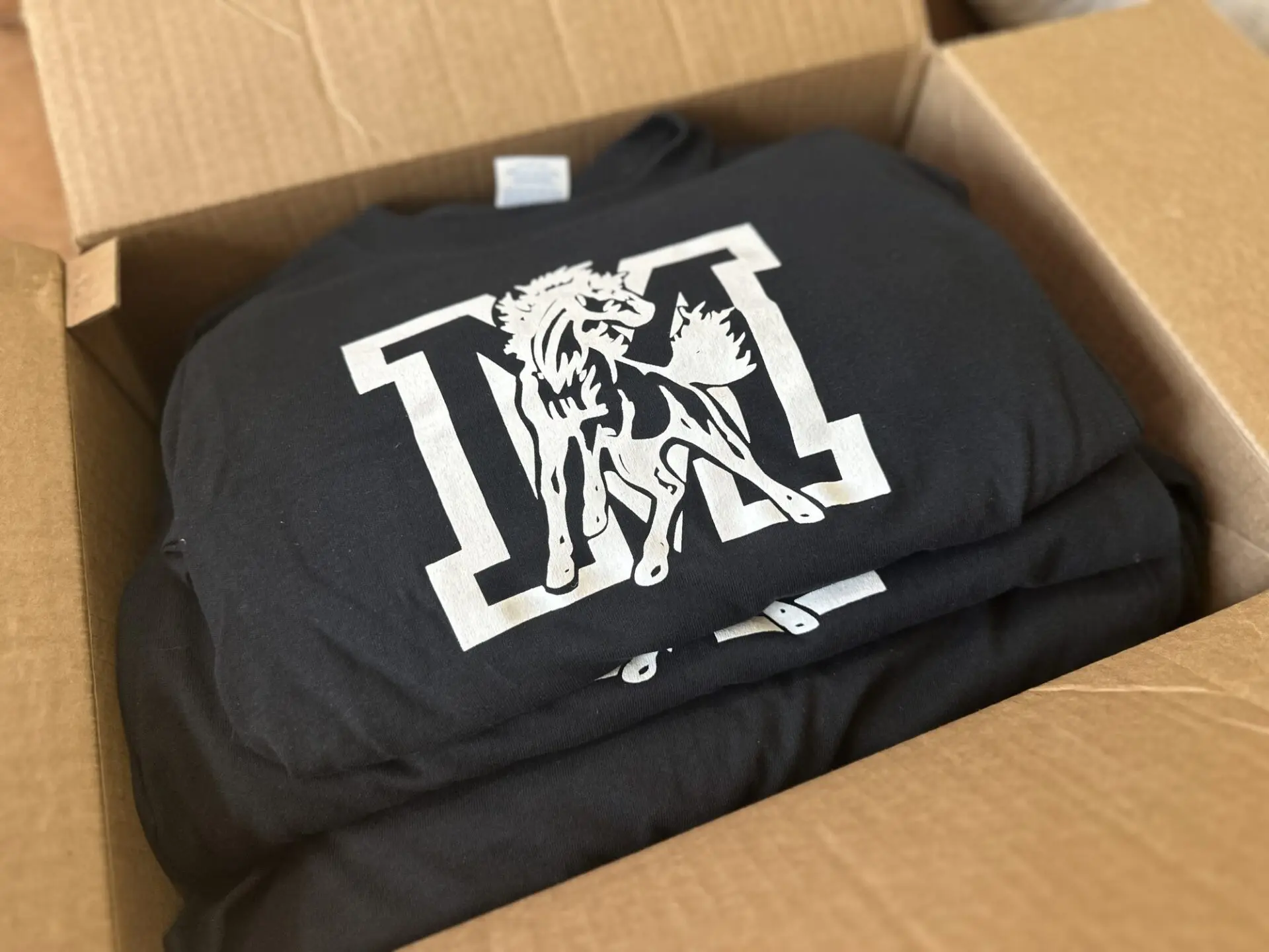High school t-shirts screen printed in bulk at The Print Plug in Nampa