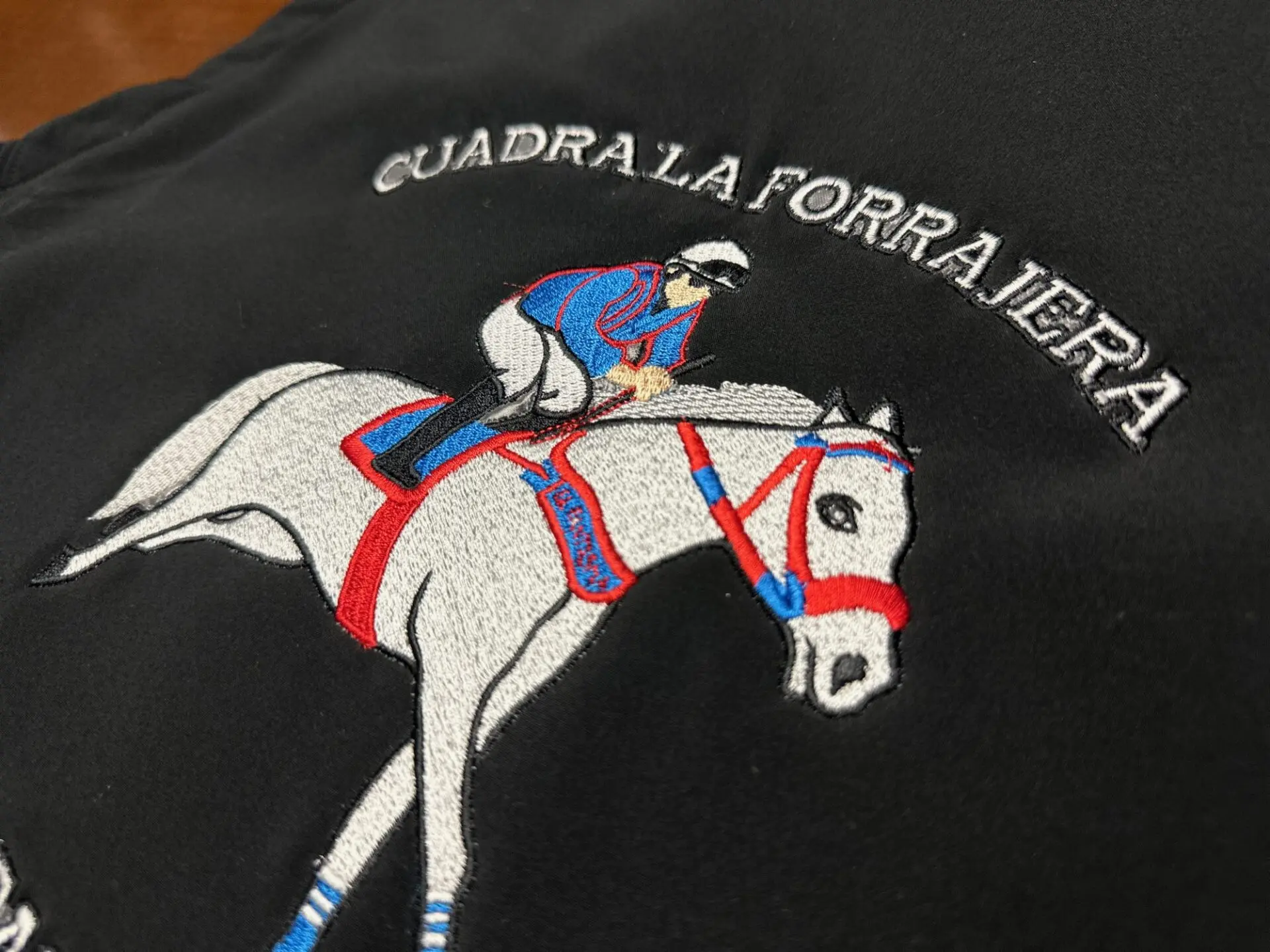 Custom embroidered jacket with large back placement from The Print Plug embroidery shop in Nampa
